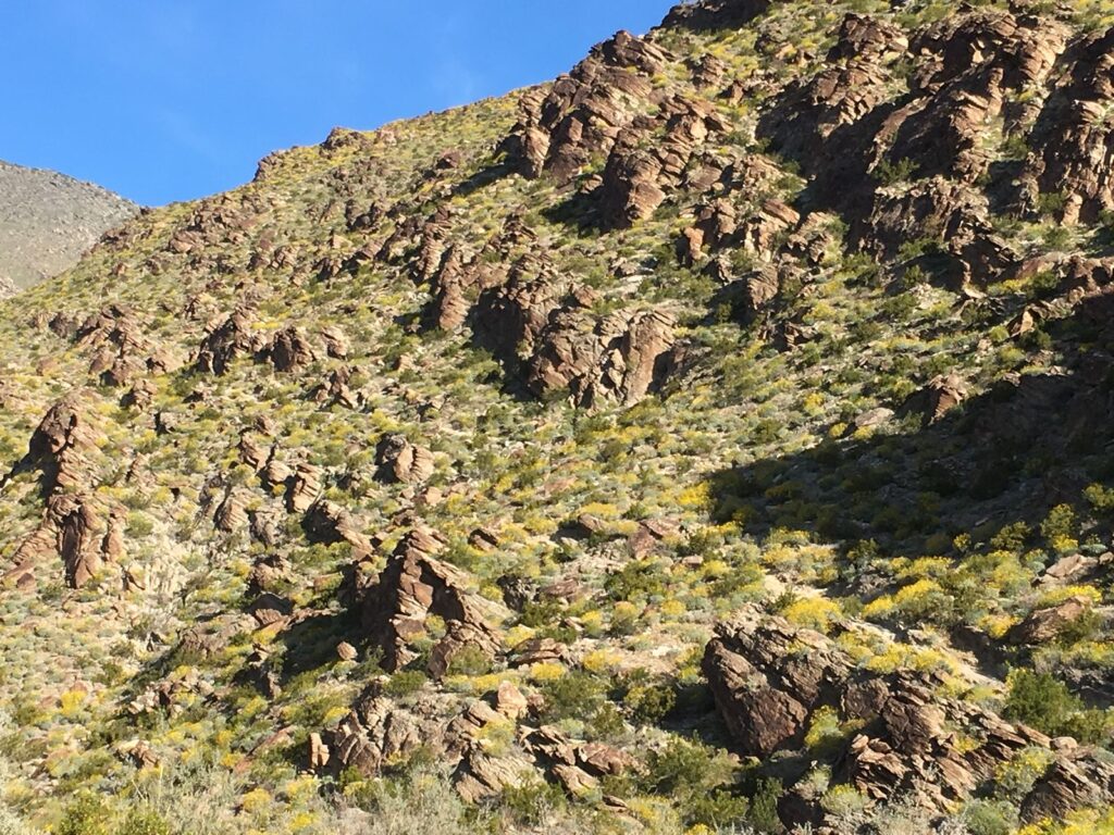 South Lykken Trail at Mesquite - So Lykken Scenic 1024x768 