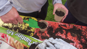 image focuses on a person's hands as they post a native plant
